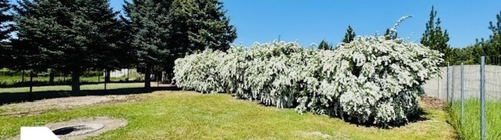 Działka z pięknym ogrodem -tarnowo podgórne