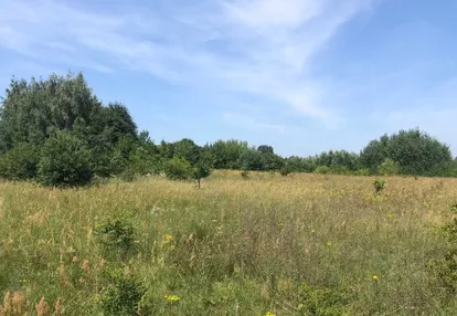 Działka na sprzedaż 1000m2