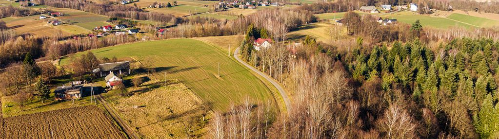 Działka leśna 30,25 ar tuchów