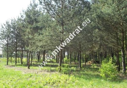 Działka w otulinie lasu z pozwoleniem na budowę