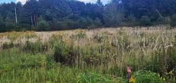 Działka pod twój wymarzony dom w leśnej scenerii