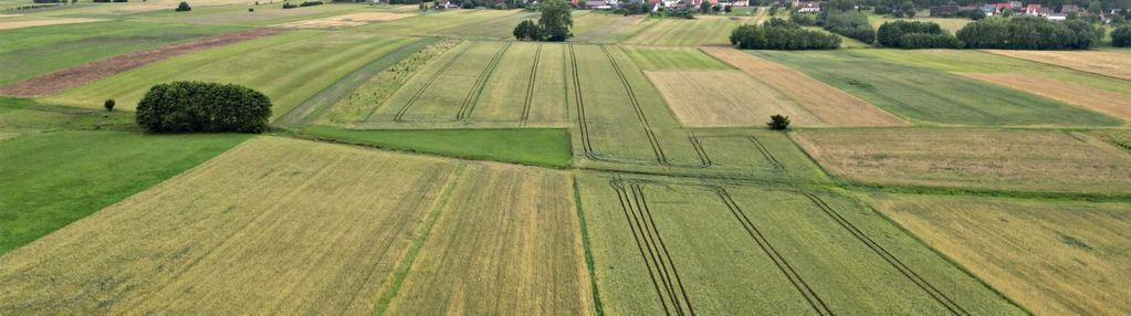 Działka 9400 m2, bizoręda, gm. sobków