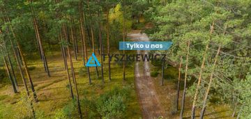 Las w spokojnej okolicy/krzyż
