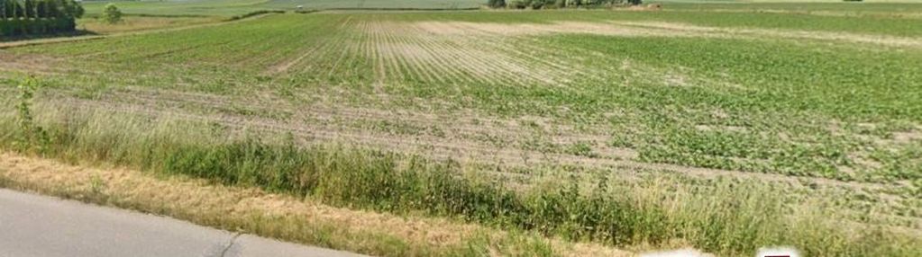 1937 m2 na obrzeżach brześcia kuj.