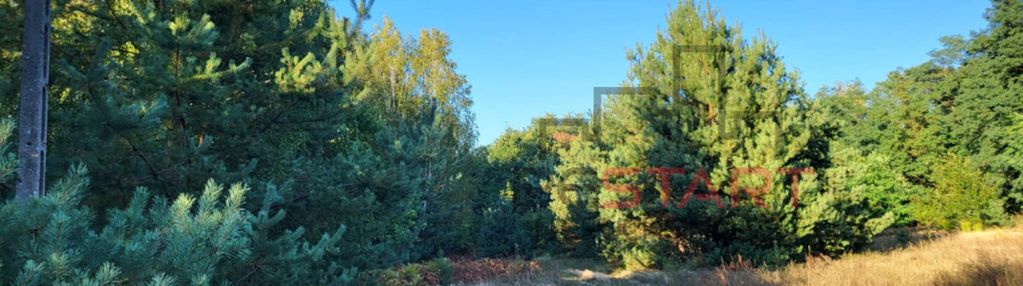 Działka we wsi borszyce gm. kowiesy!