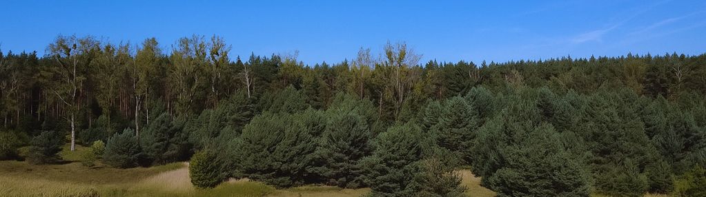 Działki budowlane|jelcz laskowice| wydane wz