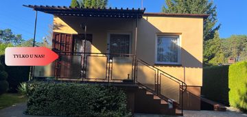 Ładna działka rekreacyjna w drzewcach