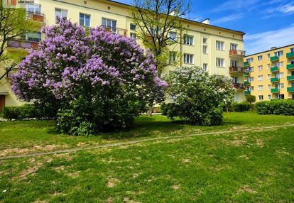 Osiedle leśne 3 pokojowe mieszkanie dwa balkony