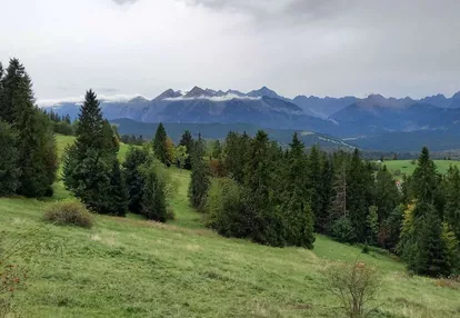 Azyl pod dom, kameralny ośrodek. Kompleks 1,3 ha