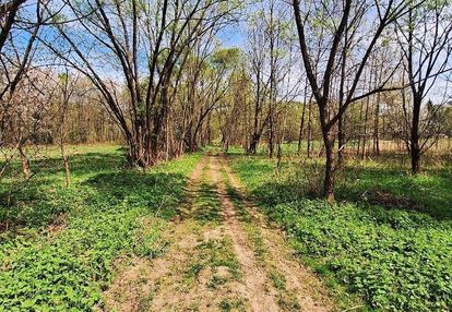 Doświadczaj beskidów - 60 arów naturalnej wolności