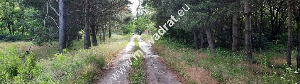 Działka budowlana na terenie leśnym mpzp