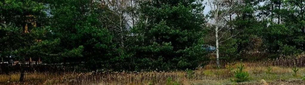 Działka budowlana o pow. 1084 m2 na skraju lasu.