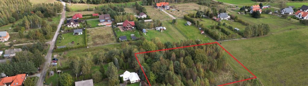 Leźno/lasy/łąki/jagodowe wzgórze/warunki/woda,prąd