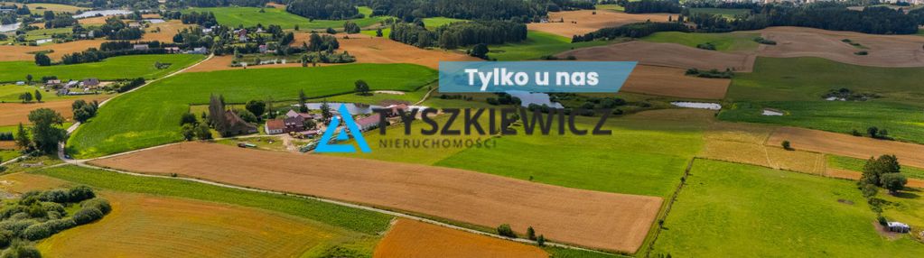 Działka rolna 1 ha w przęsinie – tylko 100 000 zł!