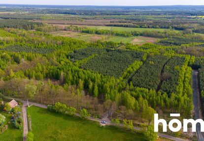 Duża działka z potencjałem, cisza i spokój-jaźwiny