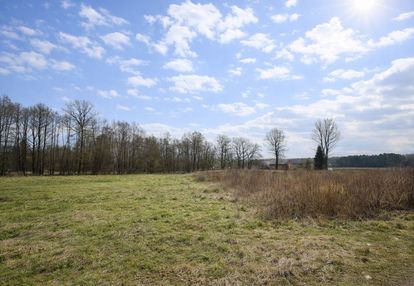 Działka przy asfalcie, super cena! mpzp - malanów