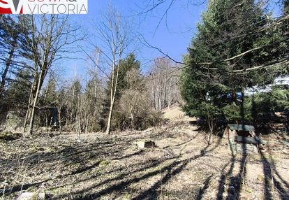 Działka w kameralnej zabudowie ze starodrzewem