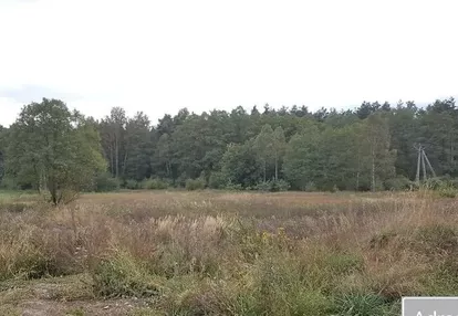 Działka na sprzedaż 2500m2