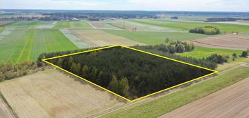 Działka leśna 2,2260 ha – puchały, gm. łomża - super cena
