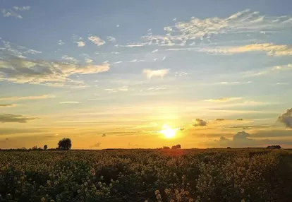 Działka na sprzedaż 3m2