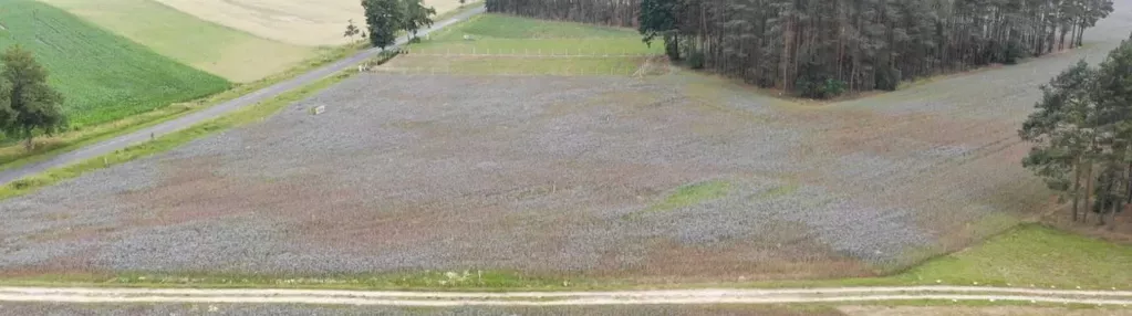 Działka na sprzedaż 1000m2