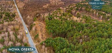 Załuże, gm. szczerców – zalesiona działka