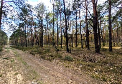 Aktualny mpzp - funkcja mieszkalna rezydencjonalna