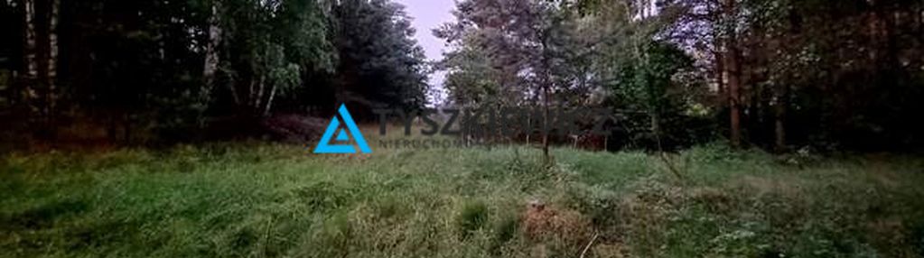 Działka z potencjałem nad brzegiem jeziora cheb