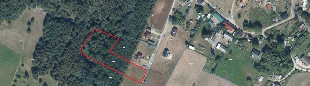 Duża działka z własnym lasem w kępie!