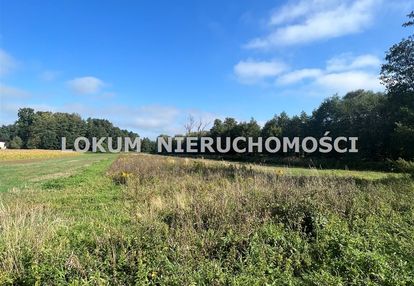 Działka rolna w  gołkowicach
