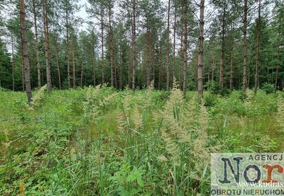 Działka budowlana, gorczyca, płaska, las