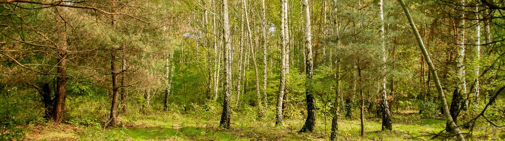 Działka rolno-budowlana biadoliny rdłowskie!