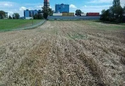 Działka na sprzedaż 5000m2