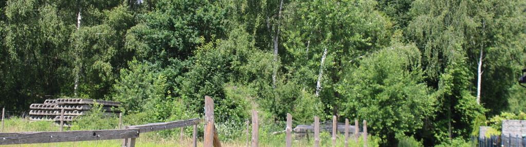 Działki budowlane koło wieliczki