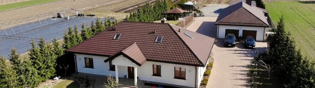 Dom z plantacją borówki – kolonia domaszewnica