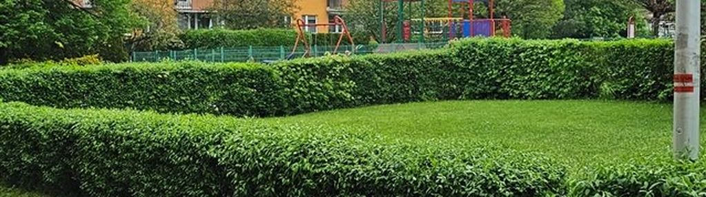 2 pokojowe mieszkanie do wynajęcia