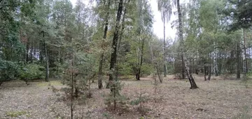 Działka na sprzedaż 4280m2