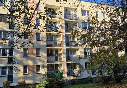 Mieszkanie wśród drzew