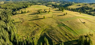 Działka rolno-leśna zakopane