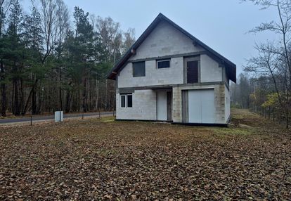 Dom w malowniczej okolicy cegłowa