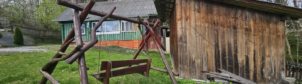 Chata drewniana przy ścianie pieknego starego lasu