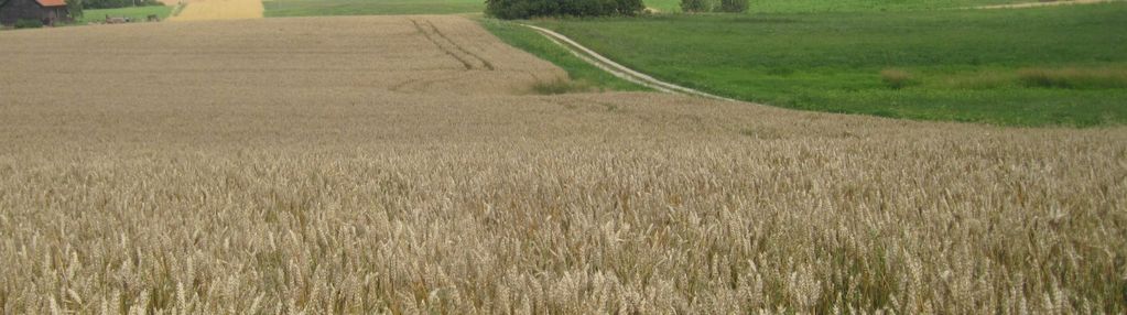 Działka z warunkami zabudowy blisko olsztyna