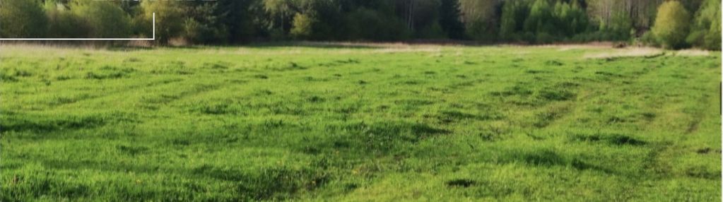 Działka budowlana przy lesie