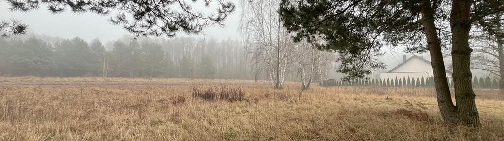 Atrakcyjna działka z pięknymi drzewami