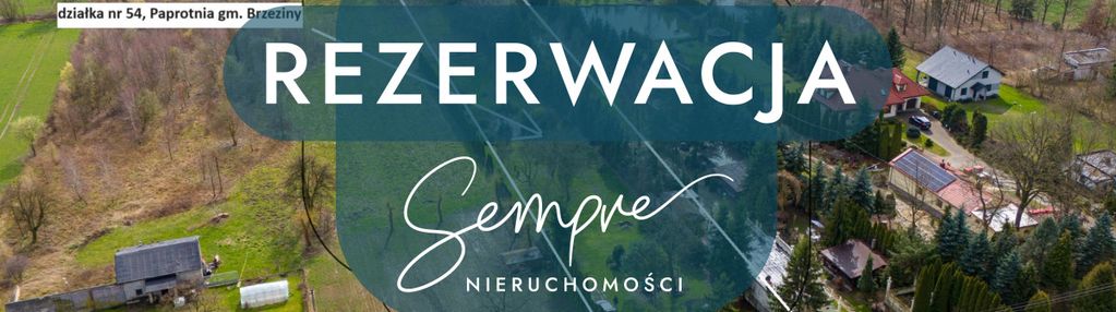 Działka z własnym lasem