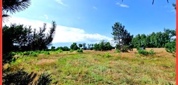 Wymarzone miejsce na  twój dom w otulinie sosen!