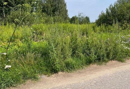 Na sprzedaż działka budowlana – 2261 m², radzymin.