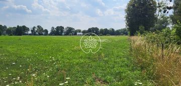 Działki budowlane na sprzedaż | rojewice |