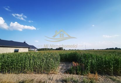 Działka przy asfalcie 3681m2