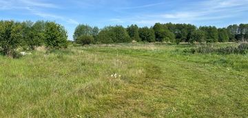 Działka w jagodnicy 2,7 ha